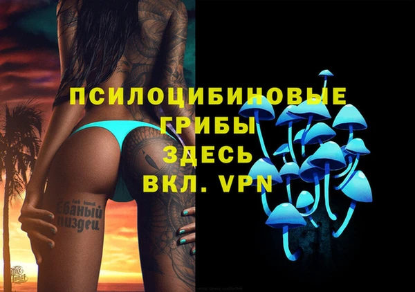 крисы Касимов
